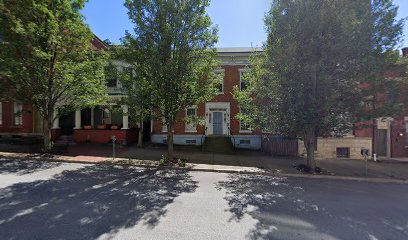 Mustard Seed Mountain Street Paper