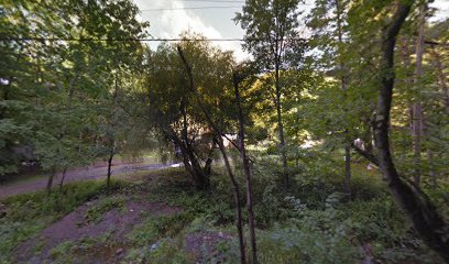 Ye Old Tri-Valley Townsman